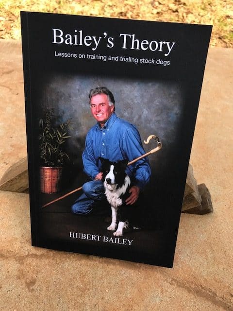 Bailey's Theory Book